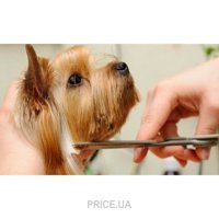 Гигиеническая стрижка собак мелкие породы