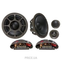 Morel Hybrid 502