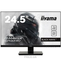 Iiyama G-Master GB2530HSU