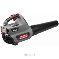 OREGON BL300