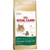 Фото Royal Canin Maine Coon 31 Adult 0,4 кг