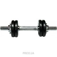 Newt TI-968-746-6