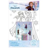 Kids Licence Frozen (FR50022)